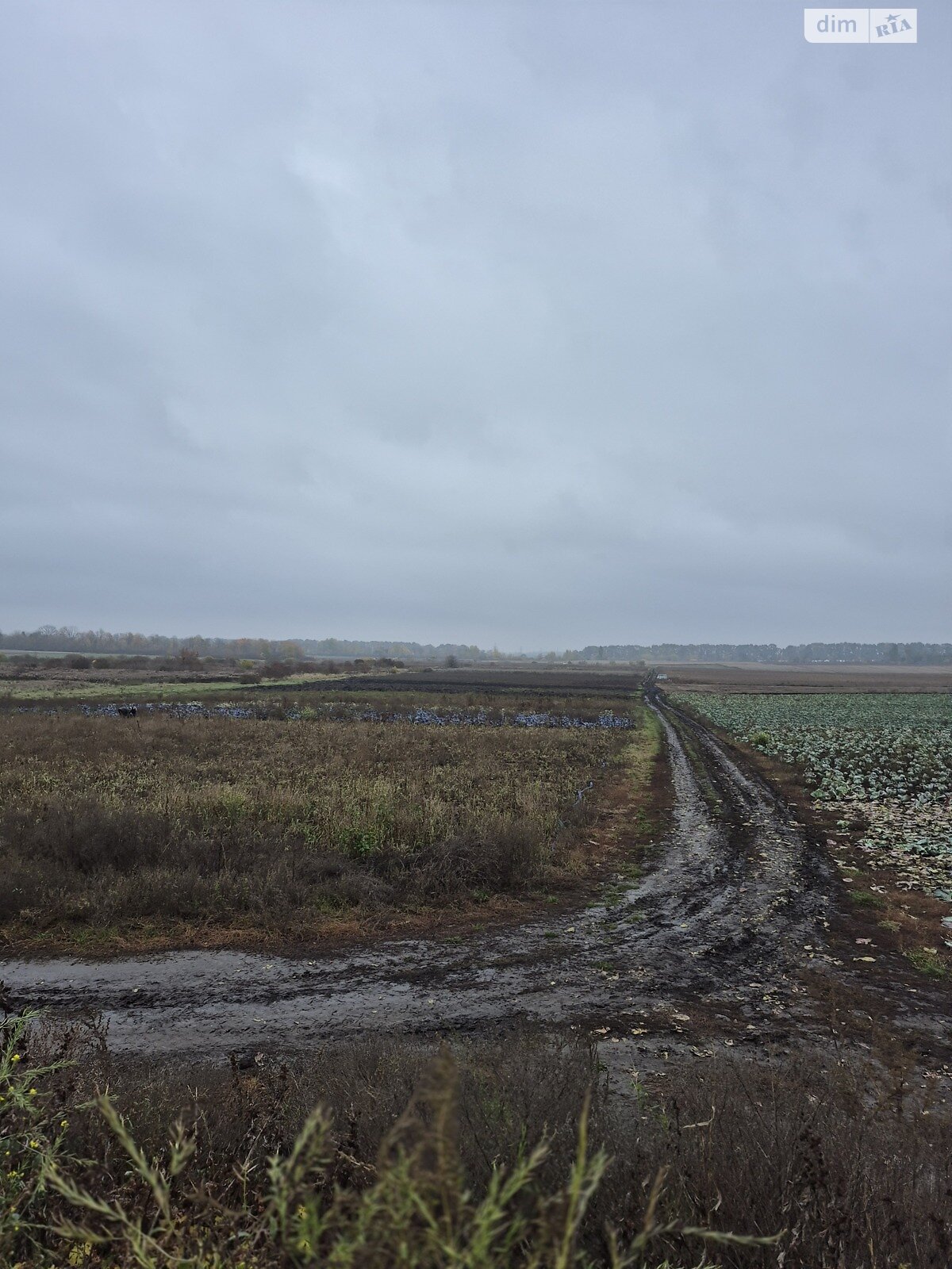 Земля сільськогосподарського призначення в Вінниці, район Дальнє замостя, площа 16 соток фото 1 Земля сільськогосподарського призначення в Вінниці, район Дальнє замостя, площа 16 соток фото 1