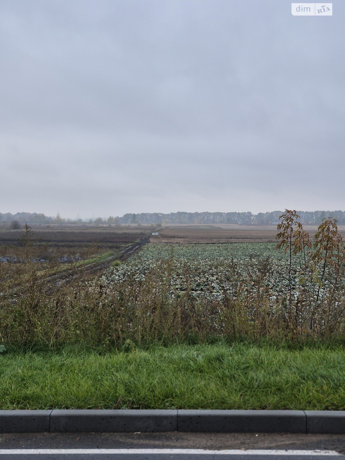 Земля сільськогосподарського призначення в Вінниці, район Дальнє замостя, площа 16 соток фото 1 Земля сільськогосподарського призначення в Вінниці, район Дальнє замостя, площа 16 соток фото 1