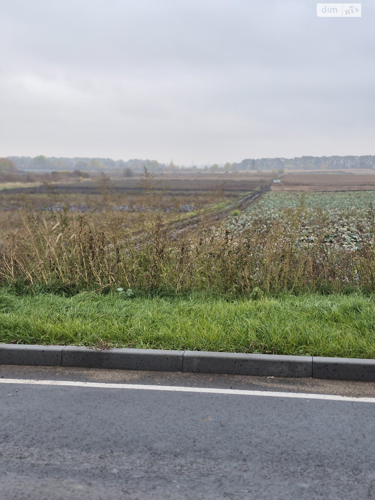 Земля сільськогосподарського призначення в Вінниці, район Дальнє замостя, площа 16 соток фото 1 Земля сільськогосподарського призначення в Вінниці, район Дальнє замостя, площа 16 соток фото 1