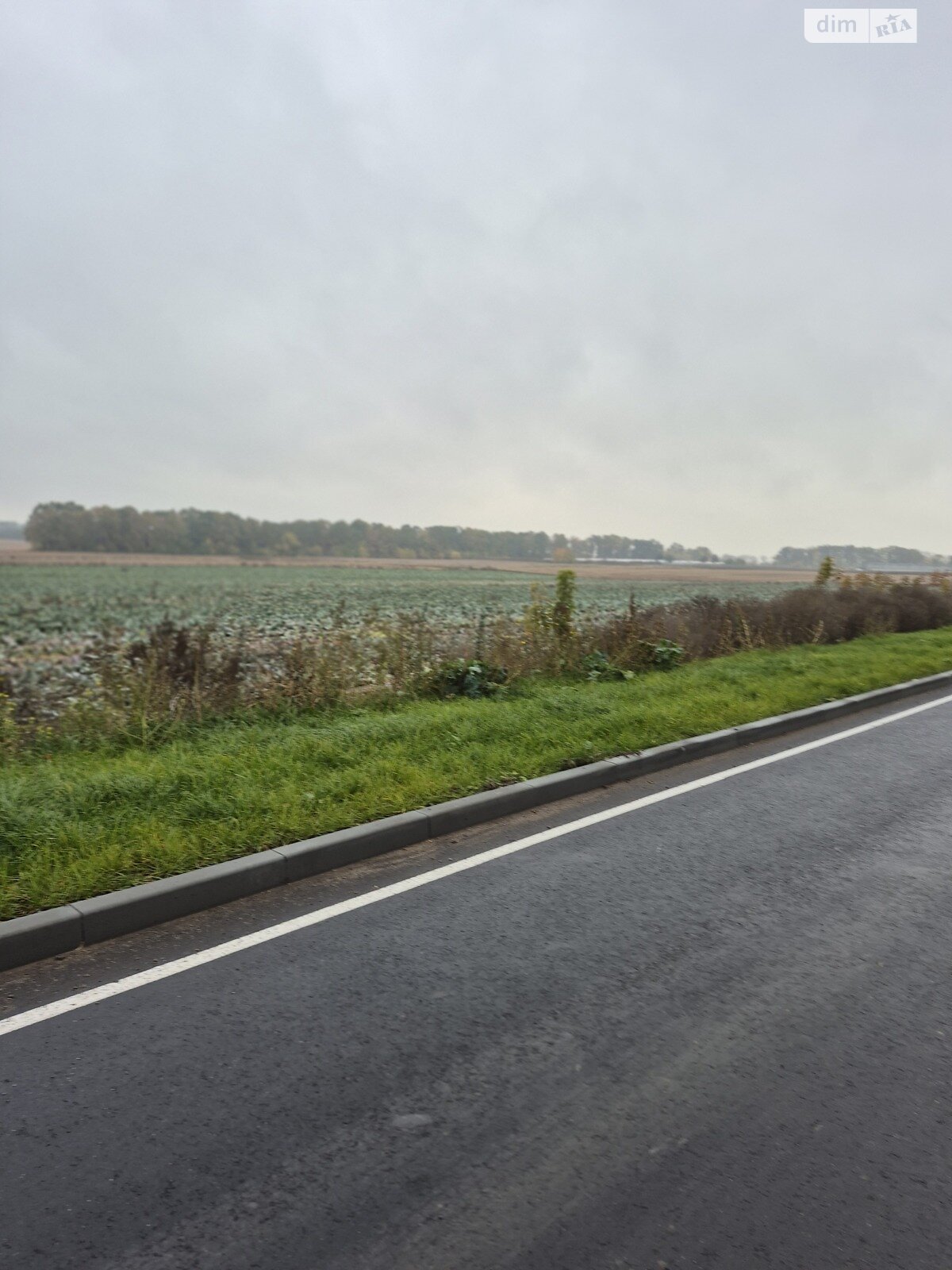 Земля сельскохозяйственного назначения в Виннице, район Дальнее замостье, площадь 150 соток фото 1 Земля сельскохозяйственного назначения в Виннице, район Дальнее замостье, площадь 150 соток фото 1