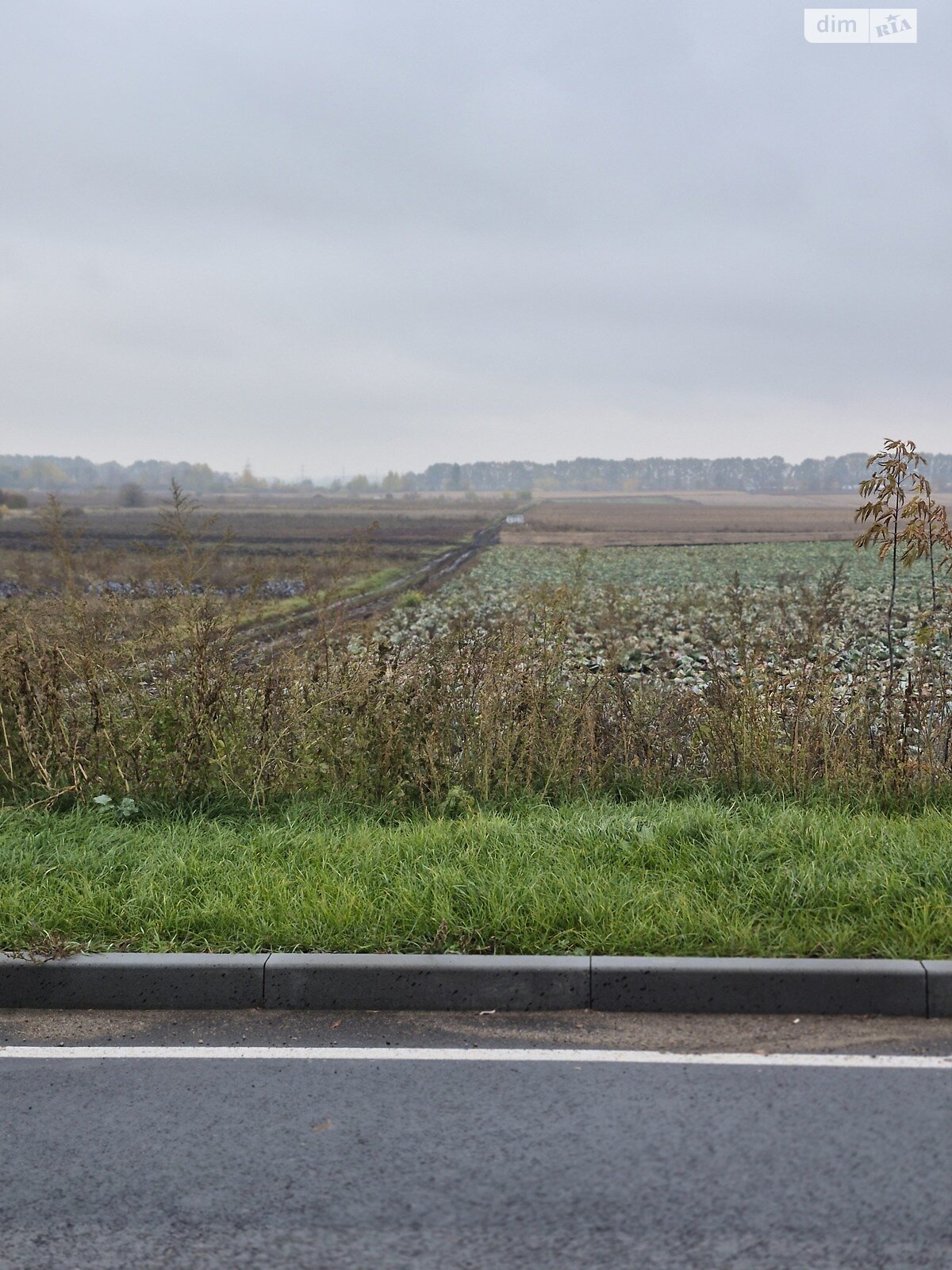 Земля сельскохозяйственного назначения в Виннице, район Дальнее замостье, площадь 150 соток фото 1 Земля сельскохозяйственного назначения в Виннице, район Дальнее замостье, площадь 150 соток фото 1