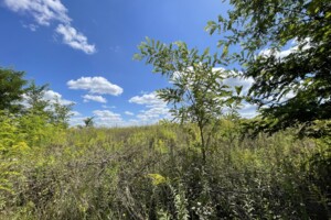 Земельна ділянка сільськогосподарського призначення в Агрономічному, площа 6 соток фото 2