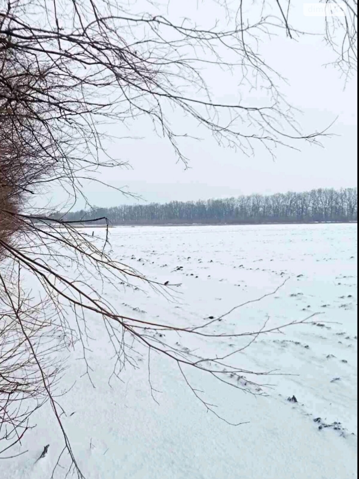 Земельна ділянка сільськогосподарського призначення в Вінниці, площа 1 Га фото 1