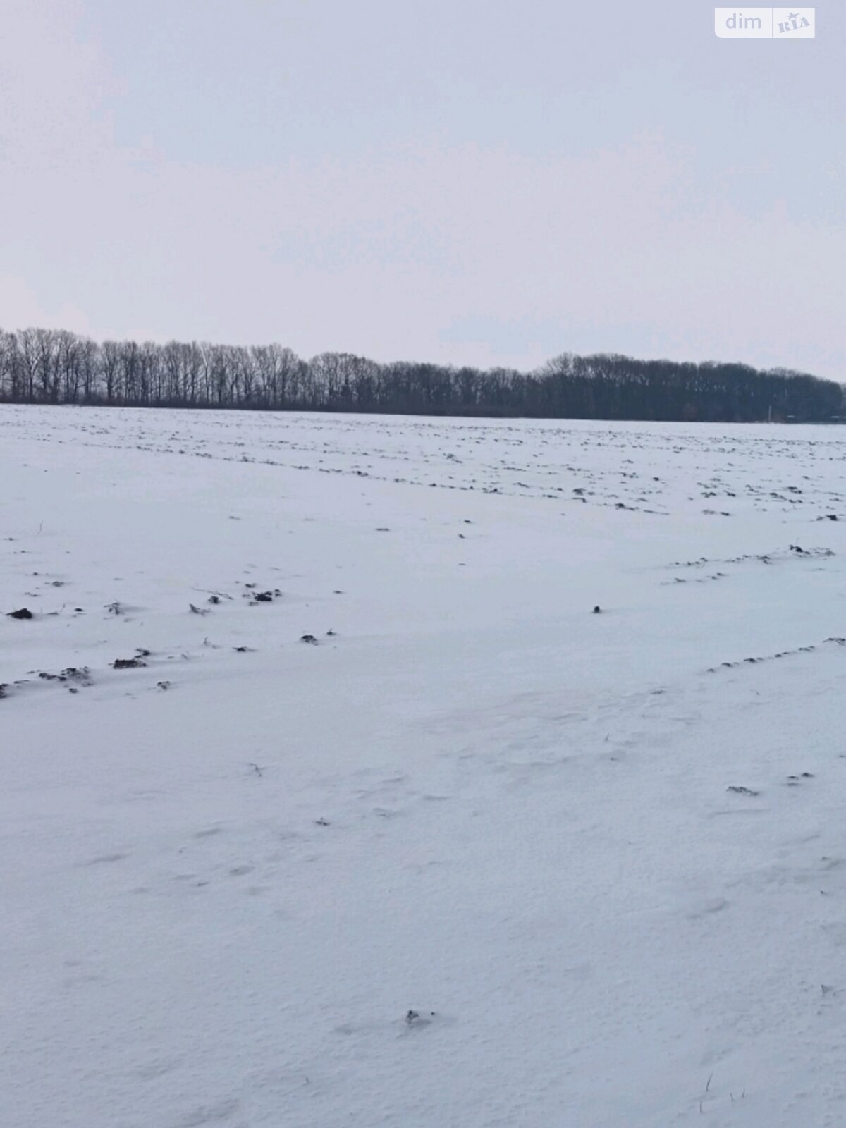 Земельна ділянка сільськогосподарського призначення в Вінниці, площа 1 Га фото 1