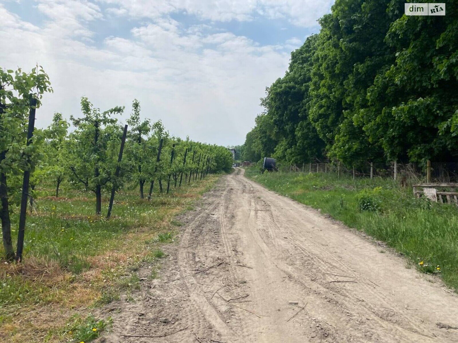 Земля сільськогосподарського призначення в Вінниці, район Київська, площа 1050 соток фото 1