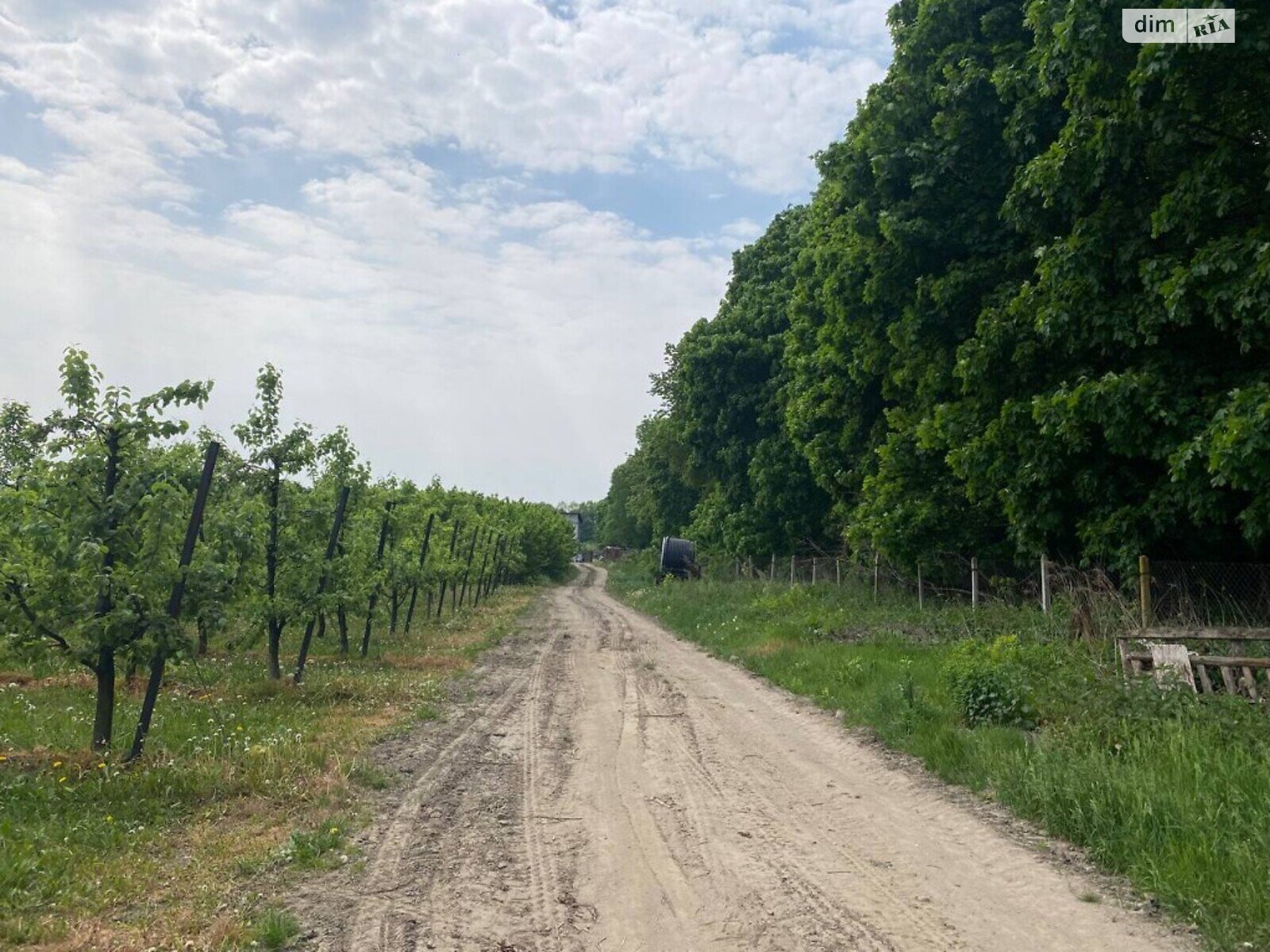 Земля сільськогосподарського призначення в Вінниці, район Київська, площа 1050 соток фото 1