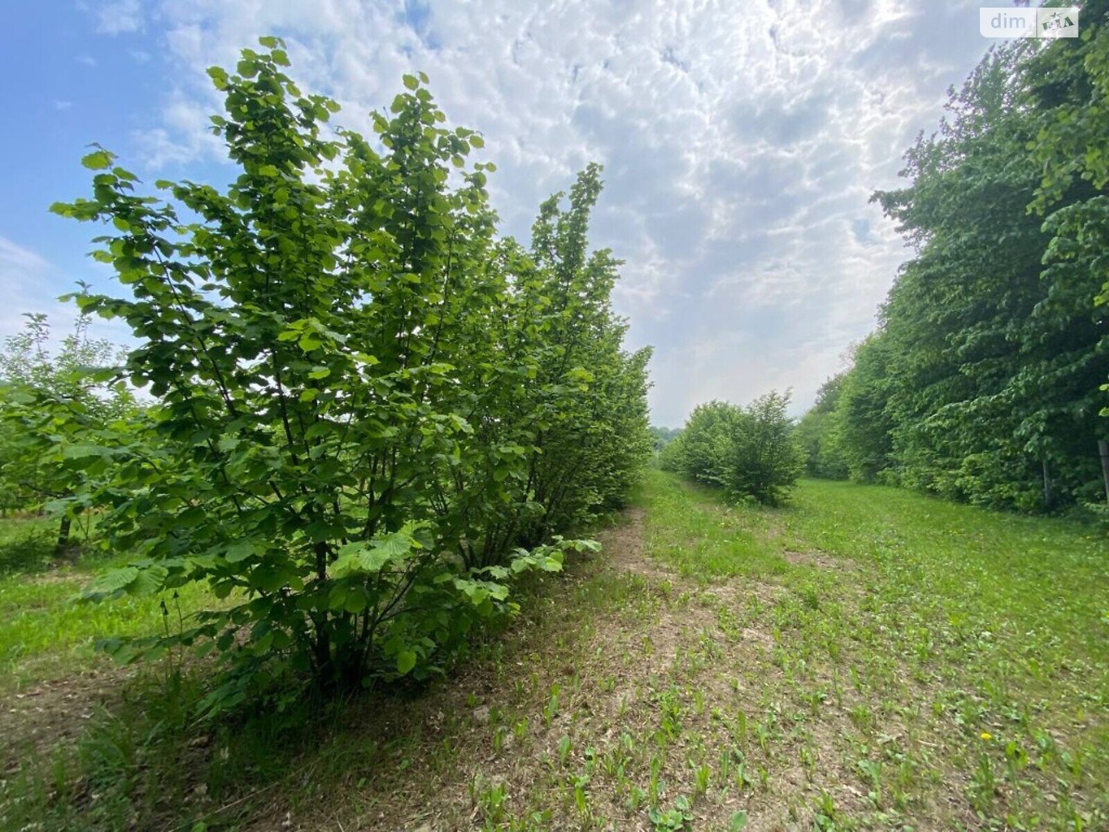 Земля сільськогосподарського призначення в Вінниці, район Київська, площа 1050 соток фото 1