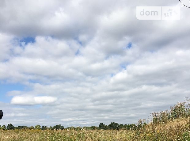 Земельна ділянка сільськогосподарського призначення в Ксаверівці, площа 12 соток фото 1