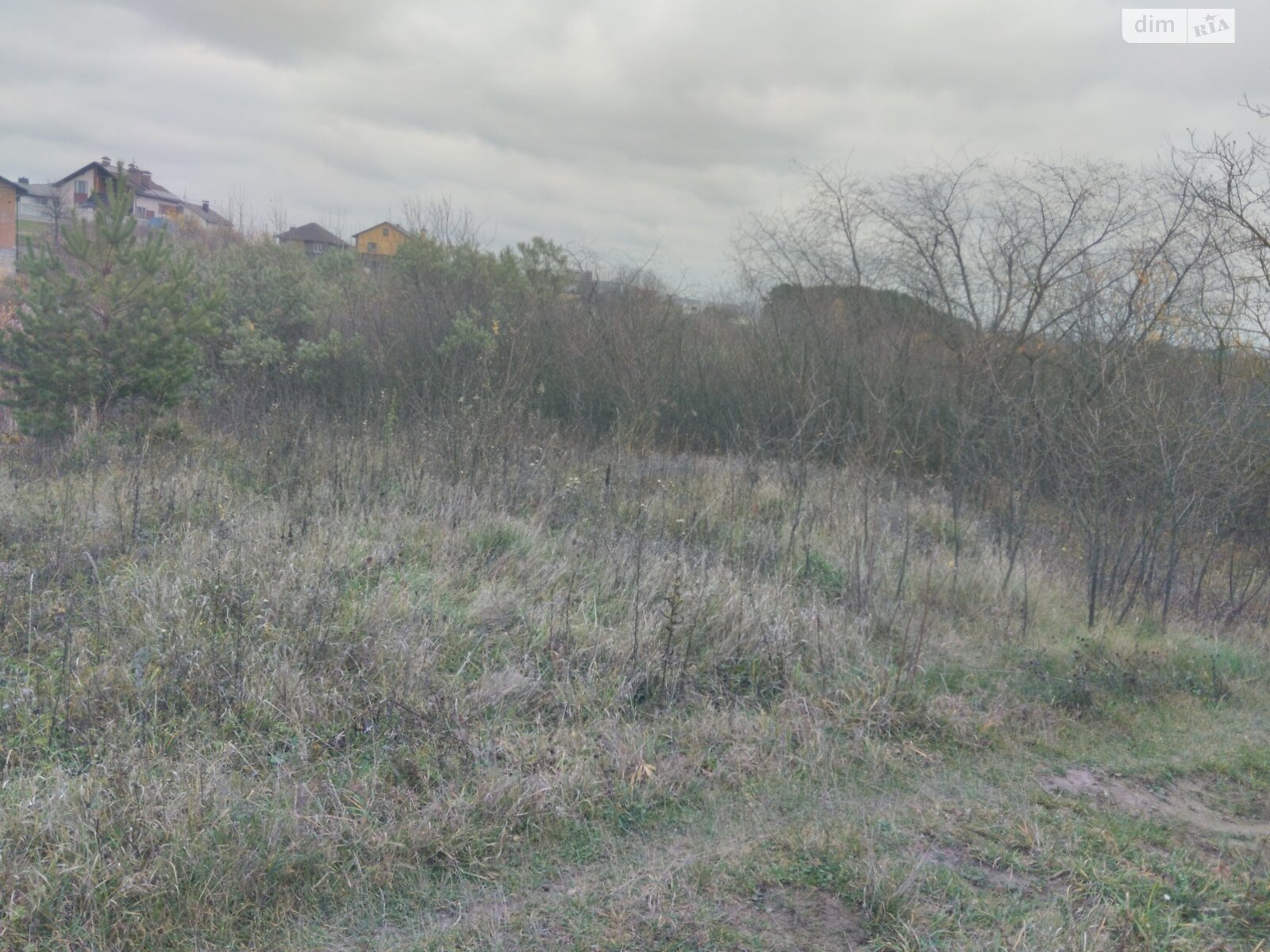 Земельна ділянка сільськогосподарського призначення в Агрономічному, площа 6 соток фото 1 Земельна ділянка сільськогосподарського призначення в Агрономічному, площа 6 соток фото 1