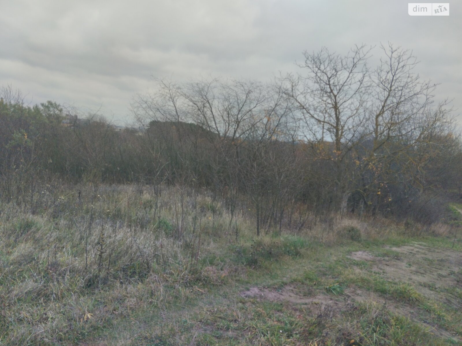 Земельна ділянка сільськогосподарського призначення в Агрономічному, площа 6 соток фото 1 Земельна ділянка сільськогосподарського призначення в Агрономічному, площа 6 соток фото 1