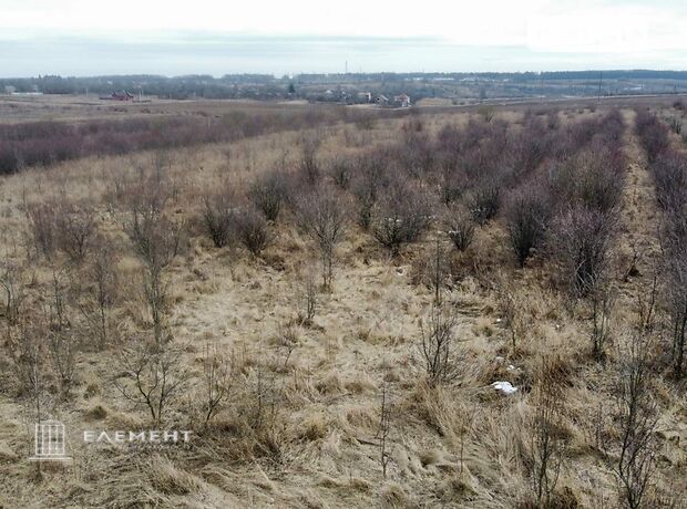 Земля сельскохозяйственного назначения в селе Лука-Мелешковская, площадь 2.14 Га фото 1 Земля сельскохозяйственного назначения в селе Лука-Мелешковская, площадь 2.14 Га фото 1