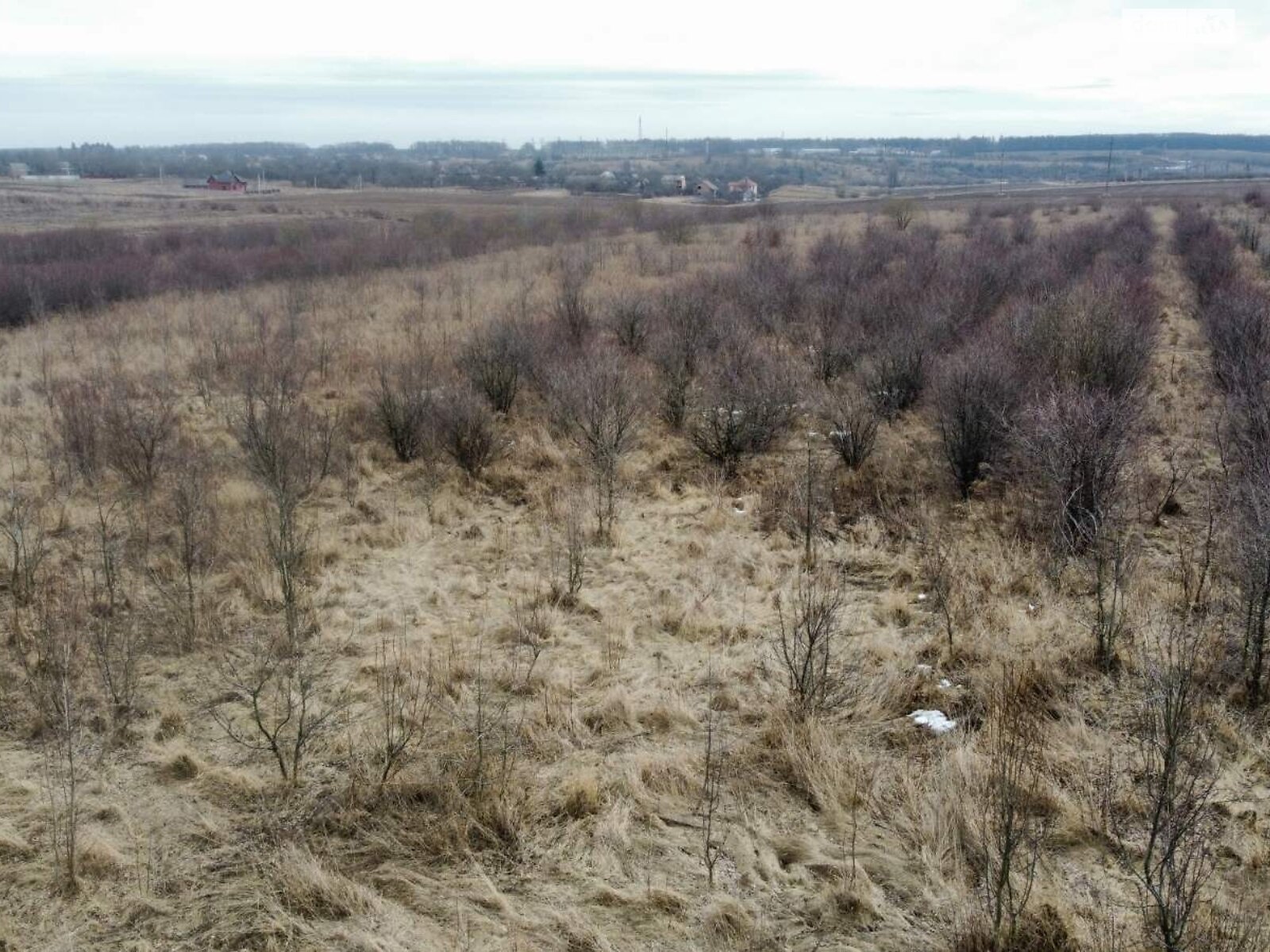 Земельна ділянка сільськогосподарського призначення в Луці-Мелешківській, площа 2.14 Га фото 1