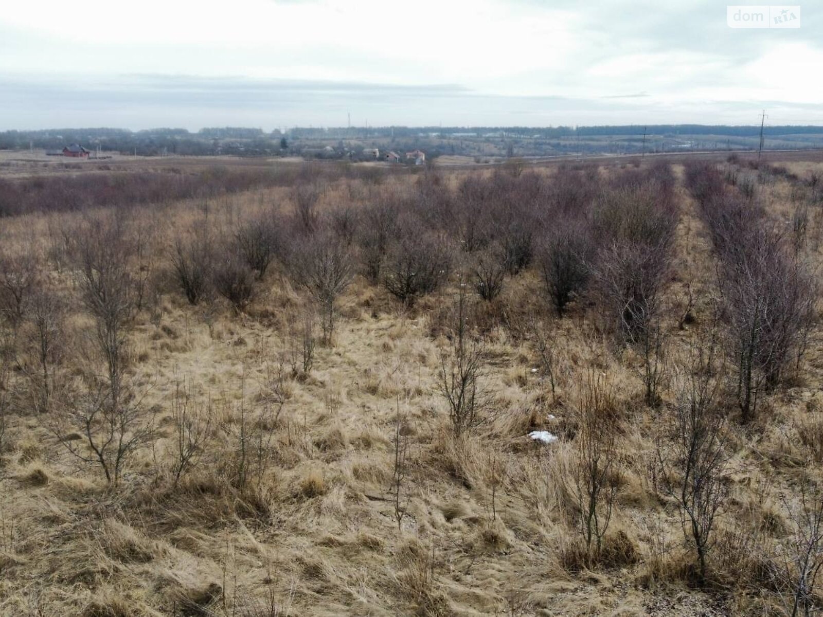 Земельна ділянка сільськогосподарського призначення в Луці-Мелешківській, площа 2.14 Га фото 1