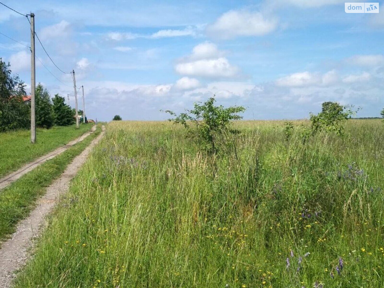 Земельный участок сельскохозяйственного назначения в Луке-Мелешковской, площадь 20 соток фото 1