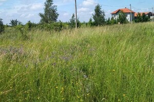 Земельный участок сельскохозяйственного назначения в Луке-Мелешковской, площадь 20 соток фото 2