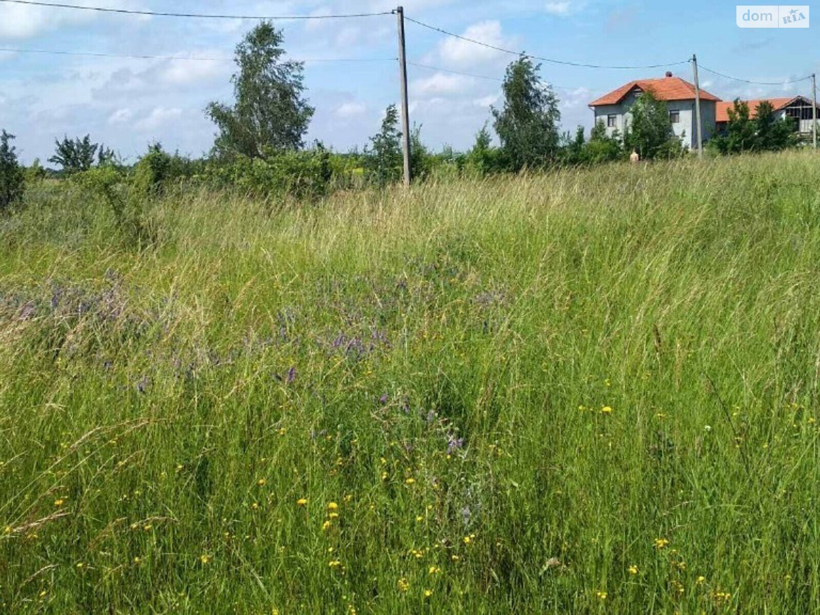 Земельна ділянка сільськогосподарського призначення в Луці-Мелешківській, площа 20 соток фото 1