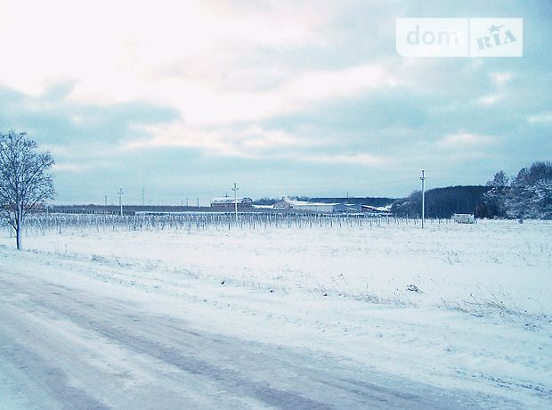 Земельный участок сельскохозяйственного назначения в Луке-Мелешковской, площадь 200 соток фото 1