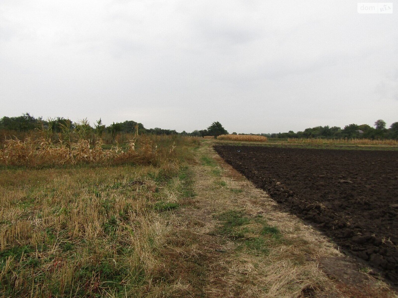 Земельный участок сельскохозяйственного назначения в Медвежьем Ушке, площадь 27 соток фото 1