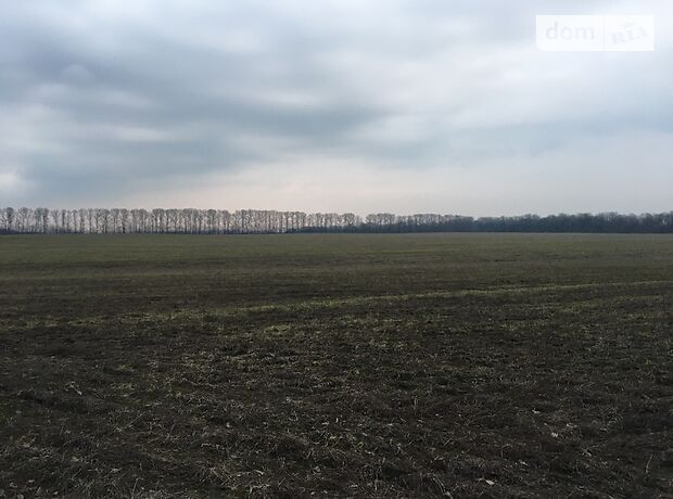 Земля сільськогосподарського призначення в селі Медвеже Вушко, площа 10 соток фото 1 Земля сільськогосподарського призначення в селі Медвеже Вушко, площа 10 соток фото 1
