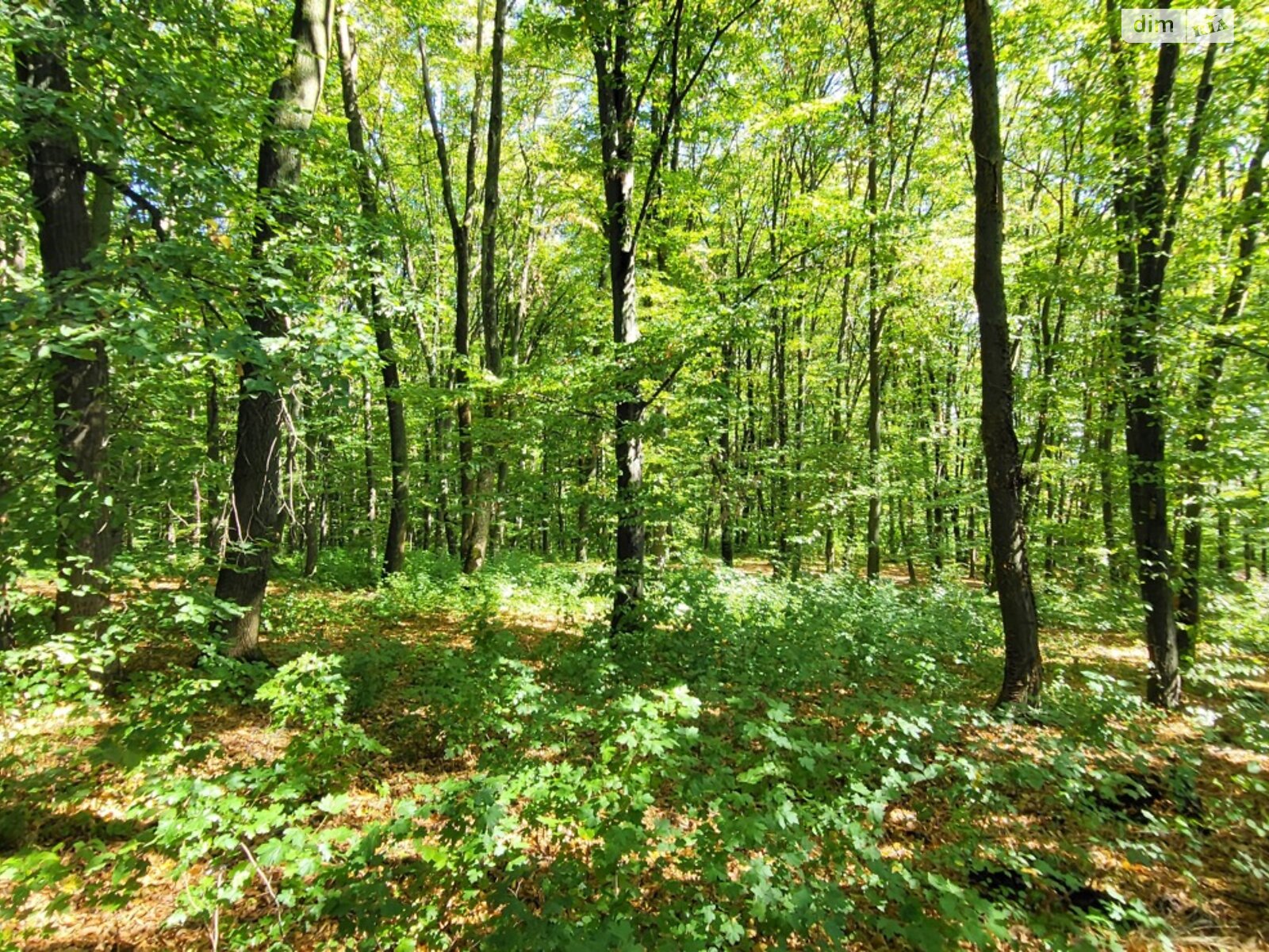 Земля сільськогосподарського призначення в Вінниці, район П’ятничани, площа 5.52 сотки фото 1 Земля сільськогосподарського призначення в Вінниці, район П’ятничани, площа 5.52 сотки фото 1