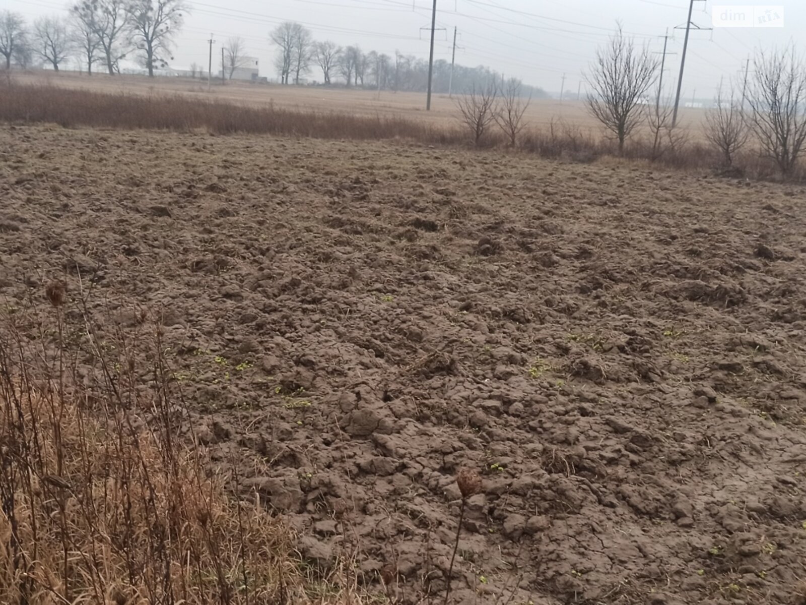 Земля сельскохозяйственного назначения в Виннице, район Сабаров, площадь 5 соток фото 1