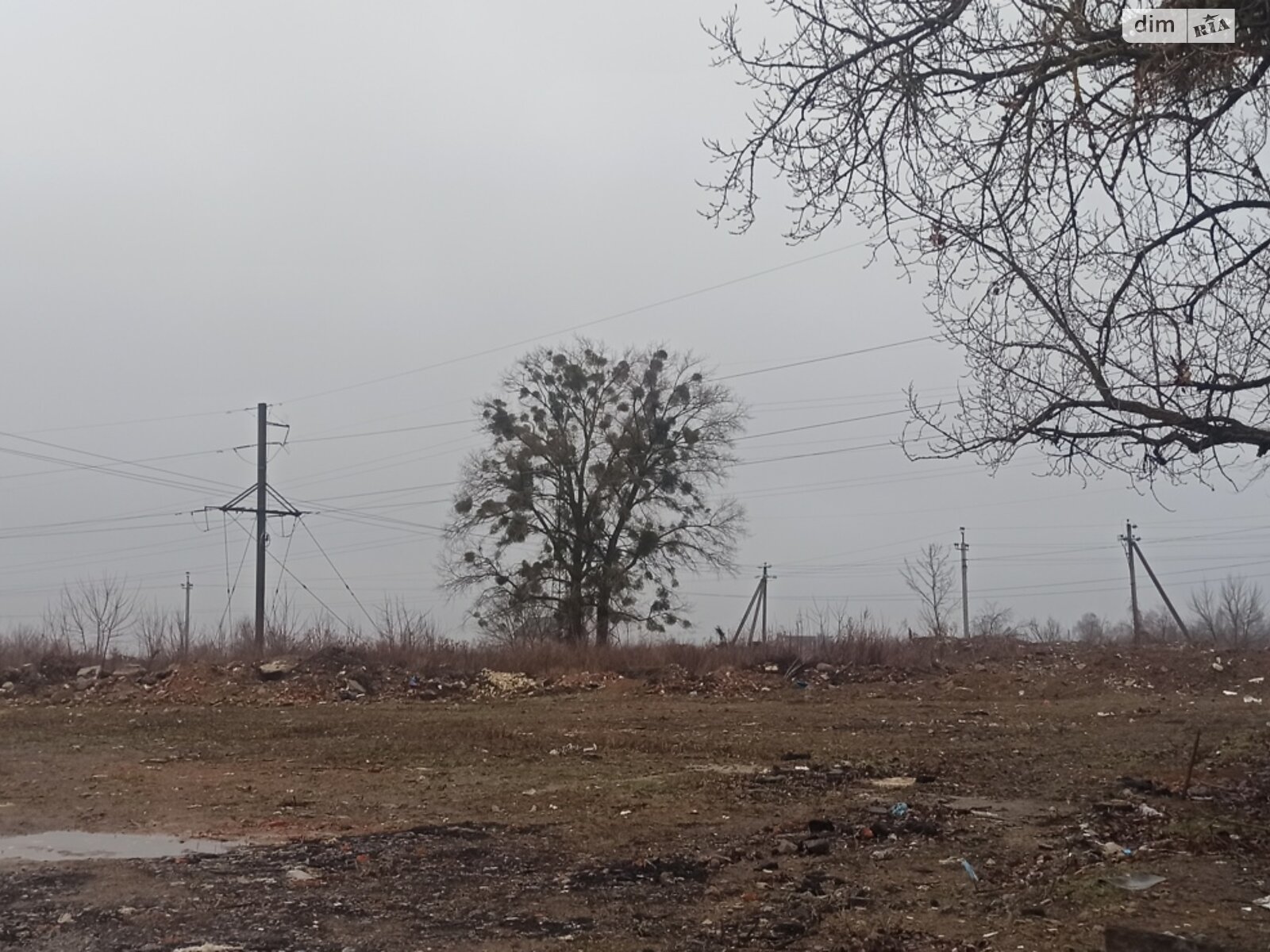 Земля сільськогосподарського призначення в Вінниці, район Сабарів, площа 0.45 Га фото 1