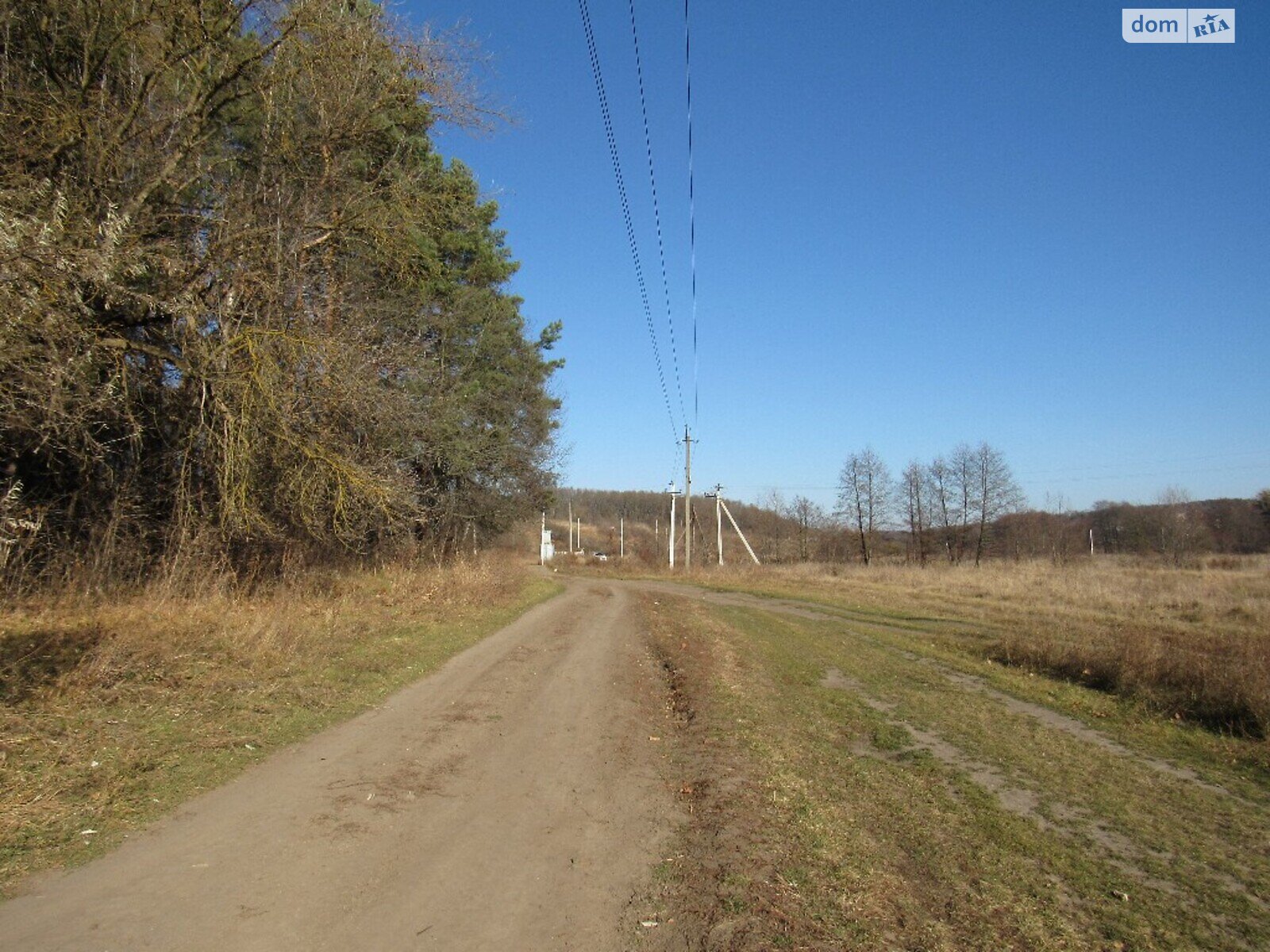 Земельный участок сельскохозяйственного назначения в Шкуринцах, площадь 32 сотки фото 1