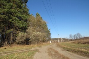 Земельный участок сельскохозяйственного назначения в Шкуринцах, площадь 32 сотки фото 2