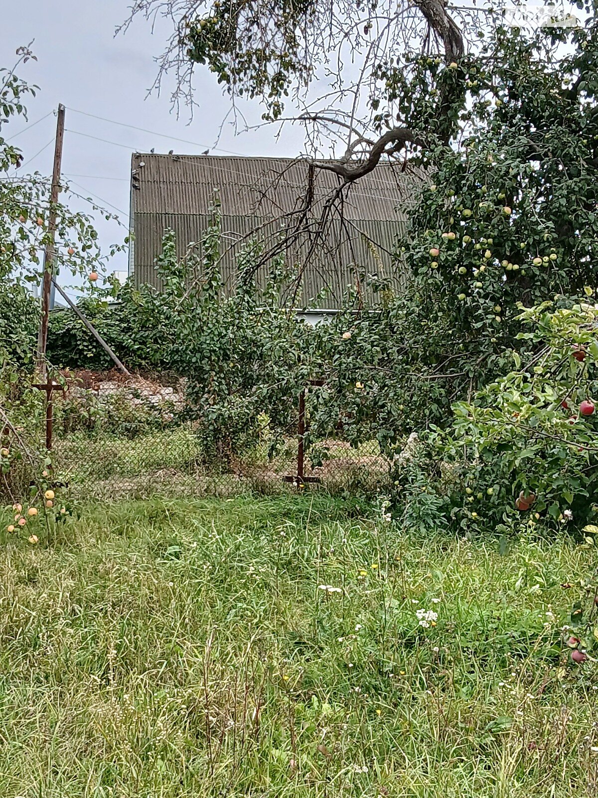 Земля сільськогосподарського призначення в Вінниці, район Старе місто, площа 11.39 сотки фото 1