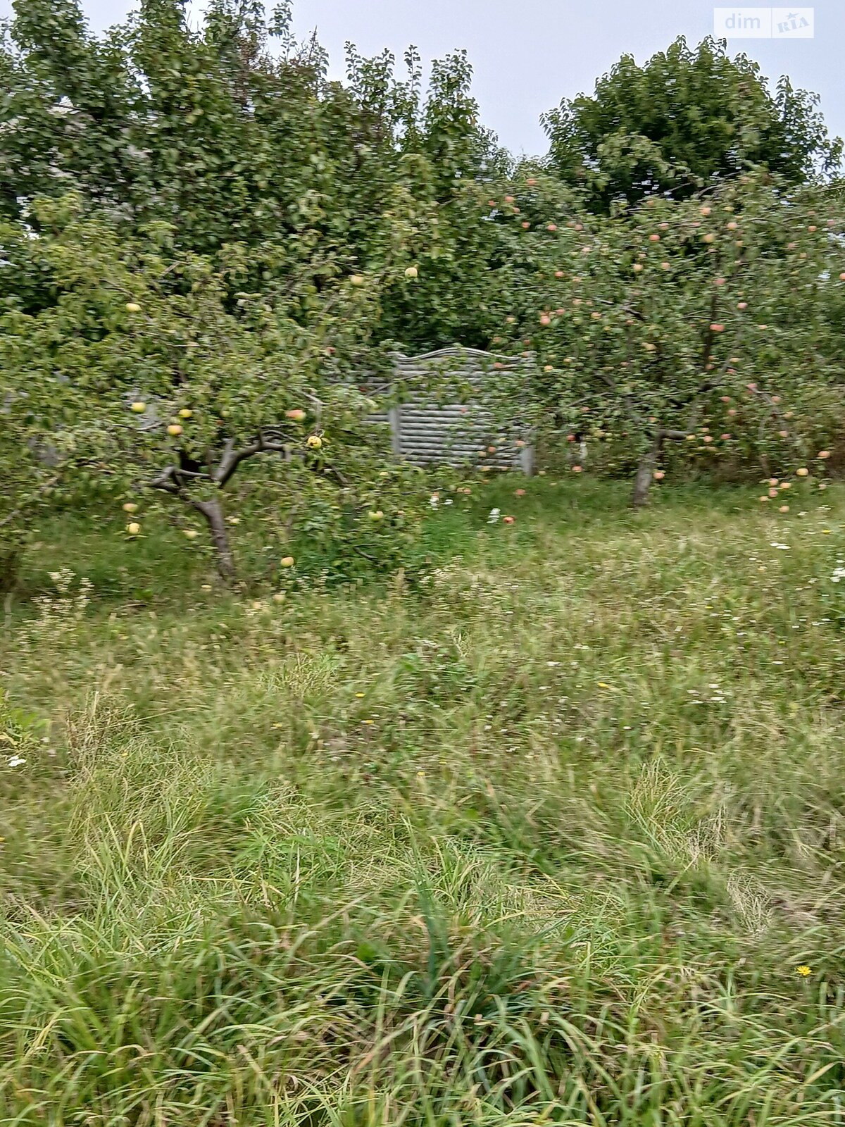 Земля сільськогосподарського призначення в Вінниці, район Старе місто, площа 11.39 сотки фото 1