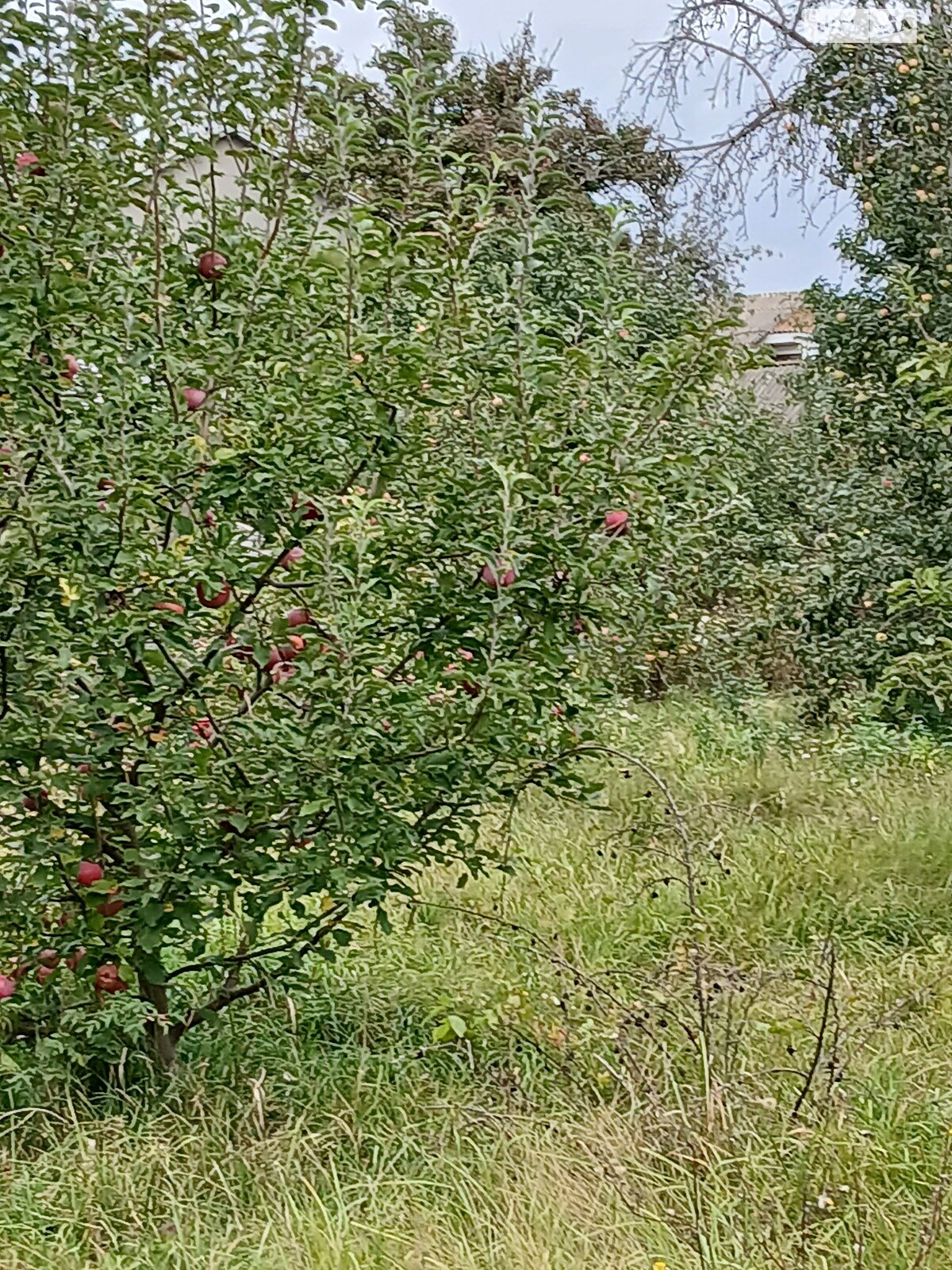 Земля сільськогосподарського призначення в Вінниці, район Старе місто, площа 11.39 сотки фото 1