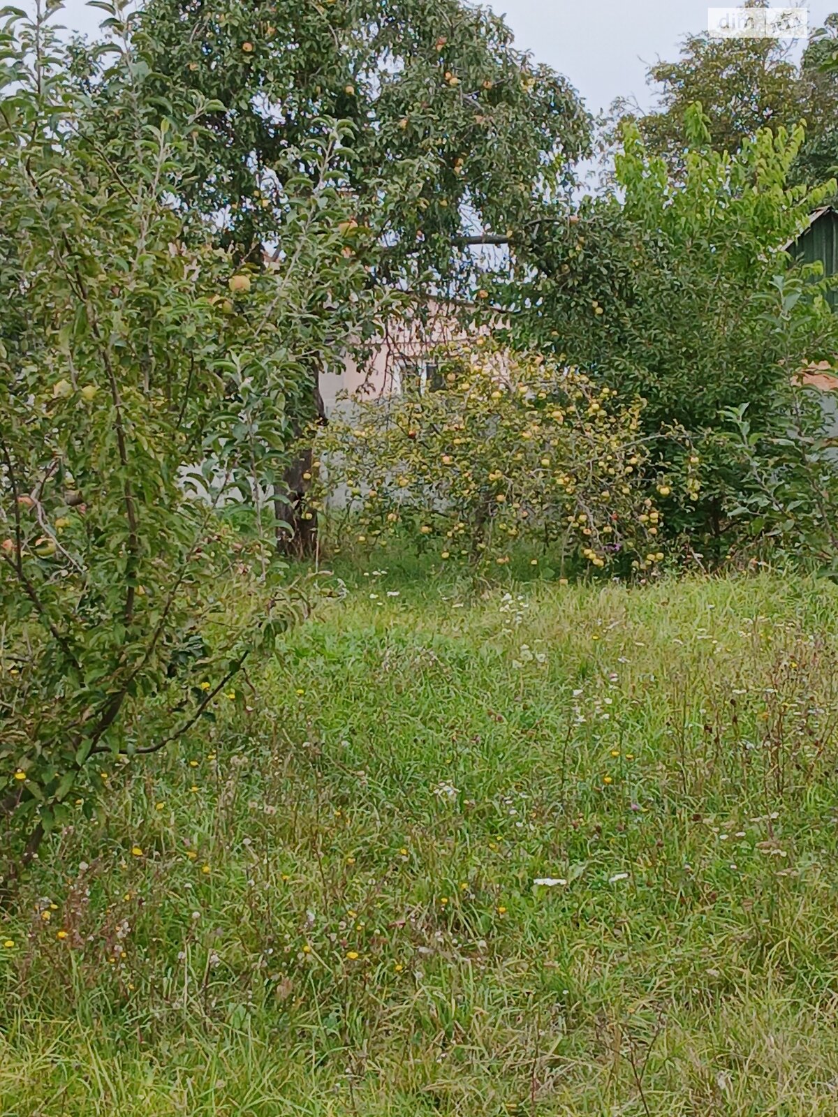 Земля сільськогосподарського призначення в Вінниці, район Старе місто, площа 11.39 сотки фото 1