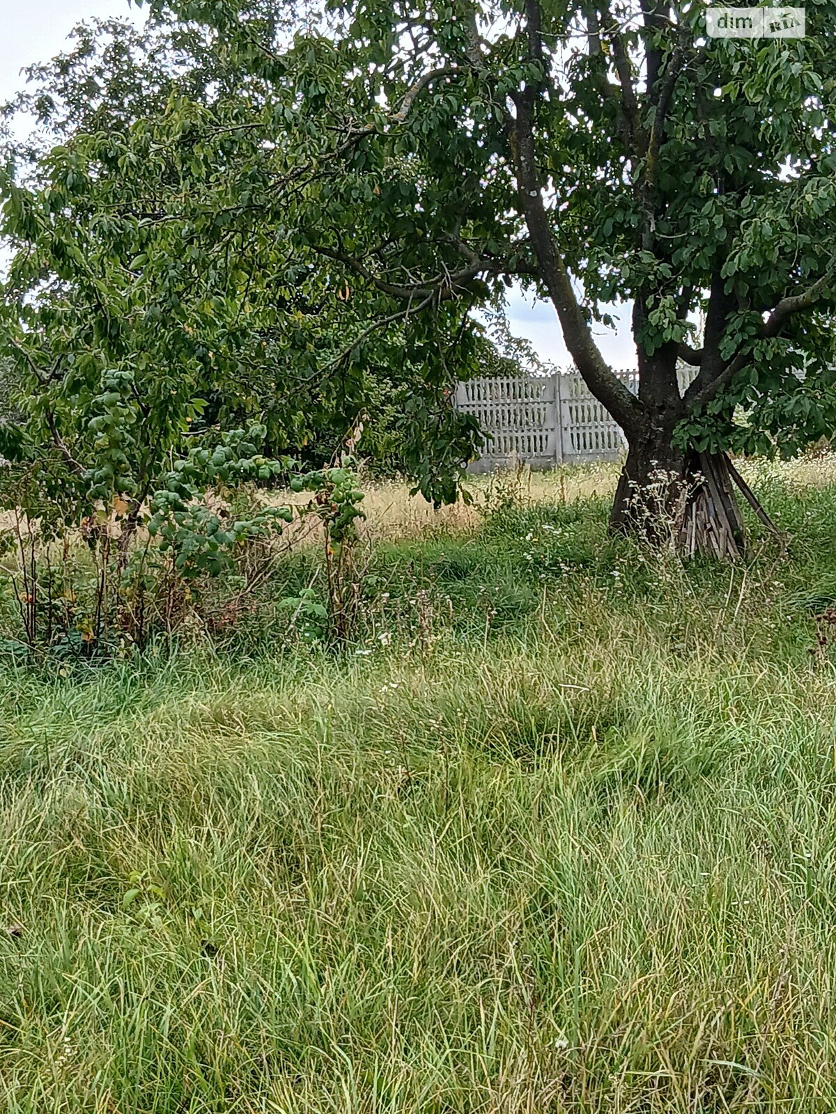 Земля сільськогосподарського призначення в Вінниці, район Старе місто, площа 11.39 сотки фото 1