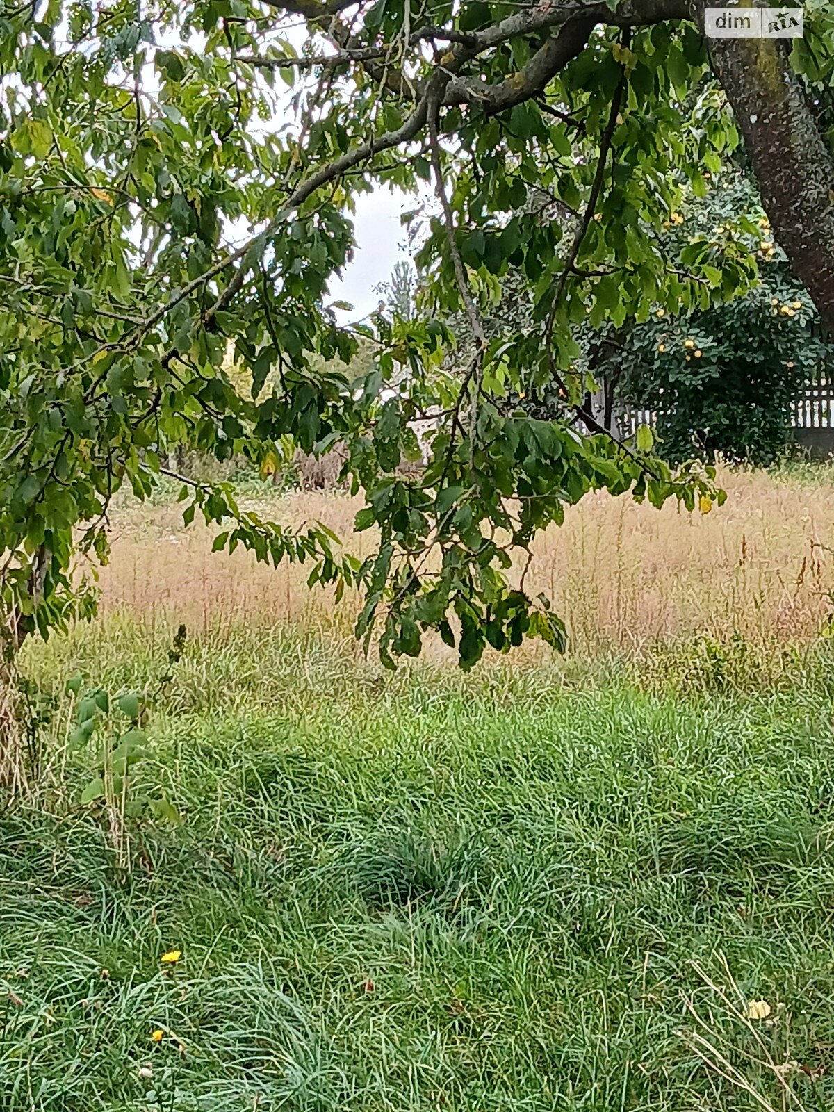 Земля сільськогосподарського призначення в Вінниці, район Старе місто, площа 11.39 сотки фото 1