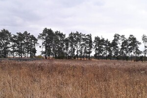 Земельный участок сельскохозяйственного назначения в Стрижавке, площадь 8 соток фото 2