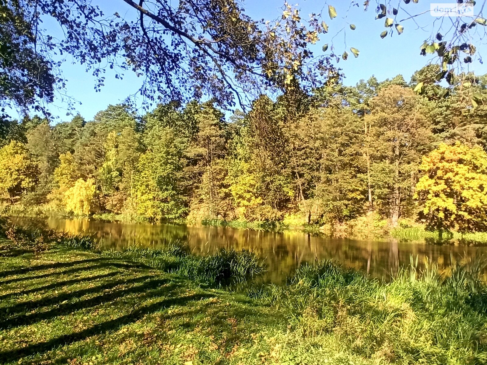 Земельна ділянка сільськогосподарського призначення в Стрижавці, площа 1.9 Га фото 1