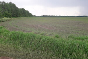 Земля сельскохозяйственного назначения в Виннице, район Тяжилов, площадь 74 сотки фото 2