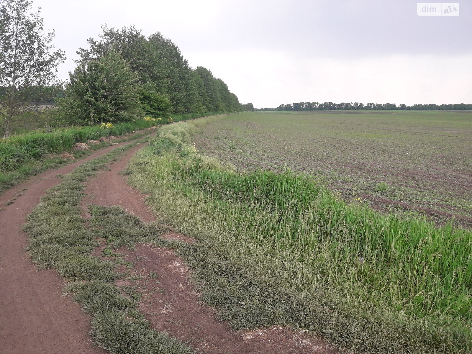 Земля сельскохозяйственного назначения в Виннице, район Тяжилов, площадь 74 сотки фото 1