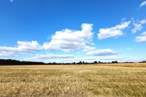 Земля сельскохозяйственного назначения в Виннице, район Тяжилов, площадь 137 соток фото 2