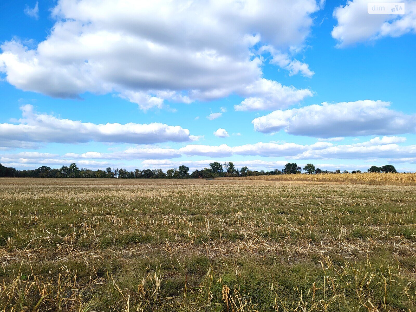 Земля сельскохозяйственного назначения в Виннице, район Тяжилов, площадь 137 соток фото 1