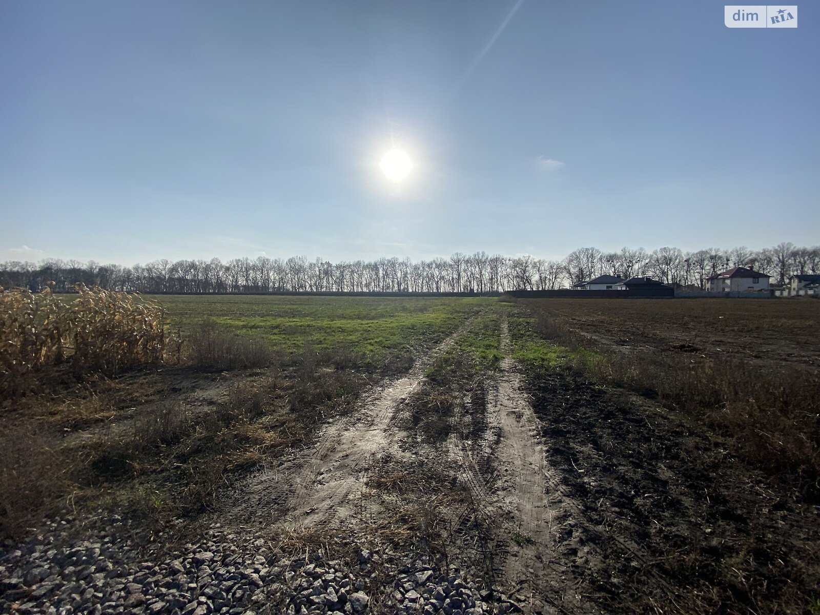 Земля сельскохозяйственного назначения в Виннице, район Тяжилов, площадь 140 соток фото 1