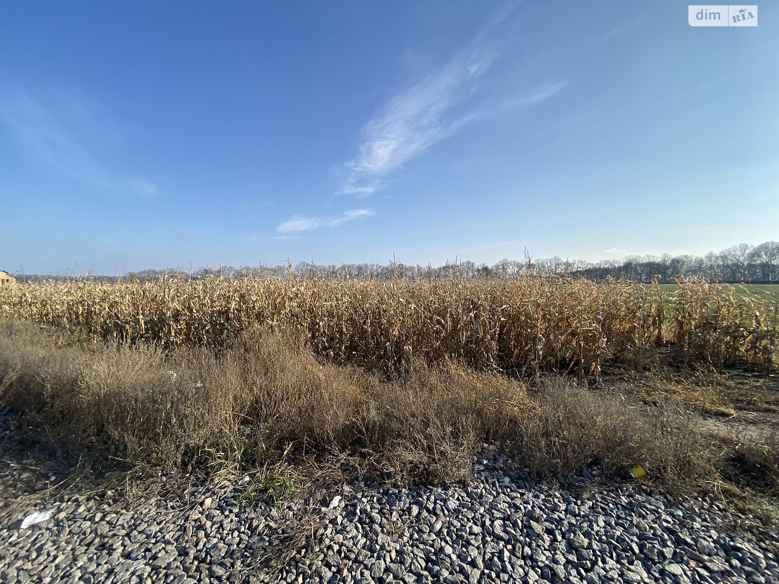 Земля сельскохозяйственного назначения в Виннице, район Тяжилов, площадь 140 соток фото 1