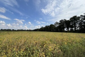 Земля сельскохозяйственного назначения в Виннице, район Тяжилов, площадь 42 сотки фото 2