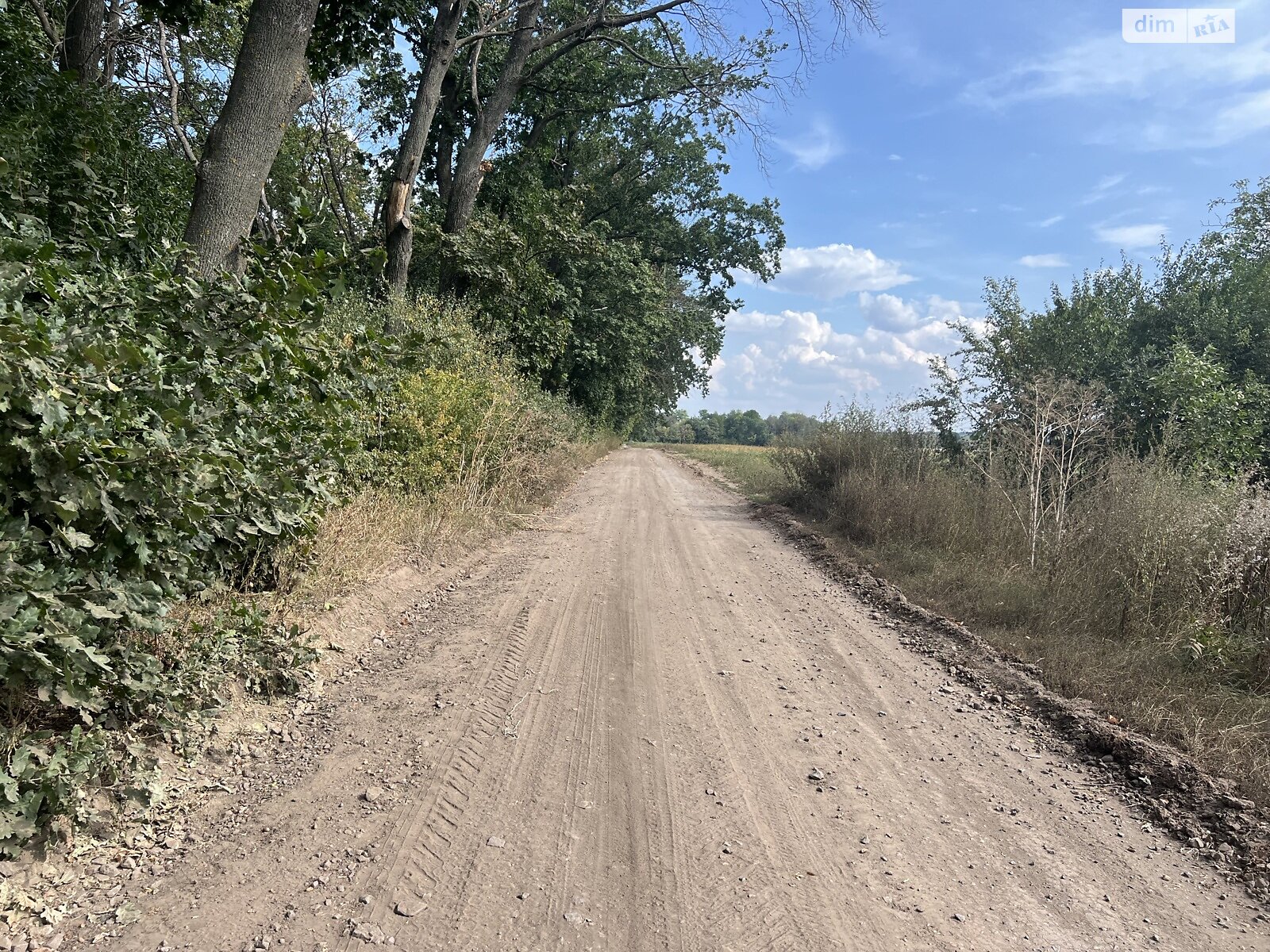 Земля сельскохозяйственного назначения в Виннице, район Тяжилов, площадь 125 соток фото 1 Земля сельскохозяйственного назначения в Виннице, район Тяжилов, площадь 125 соток фото 1
