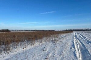 Земля сільськогосподарського призначення в Вінниці, район Тяжилів, площа 10 соток фото 2