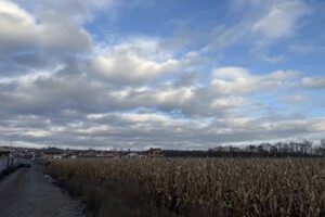 Земля сельскохозяйственного назначения в Виннице, район Тяжилов, площадь 140 соток фото 2