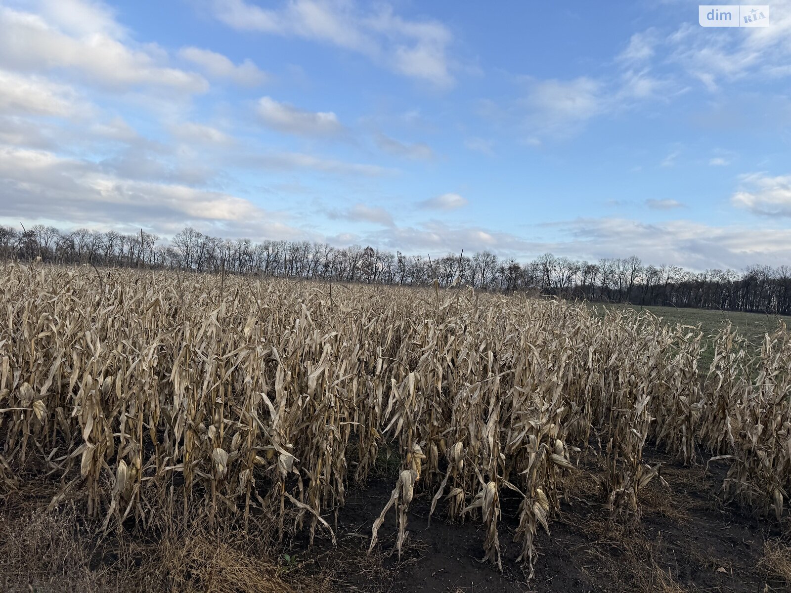 Земля сельскохозяйственного назначения в Виннице, район Тяжилов, площадь 140 соток фото 1