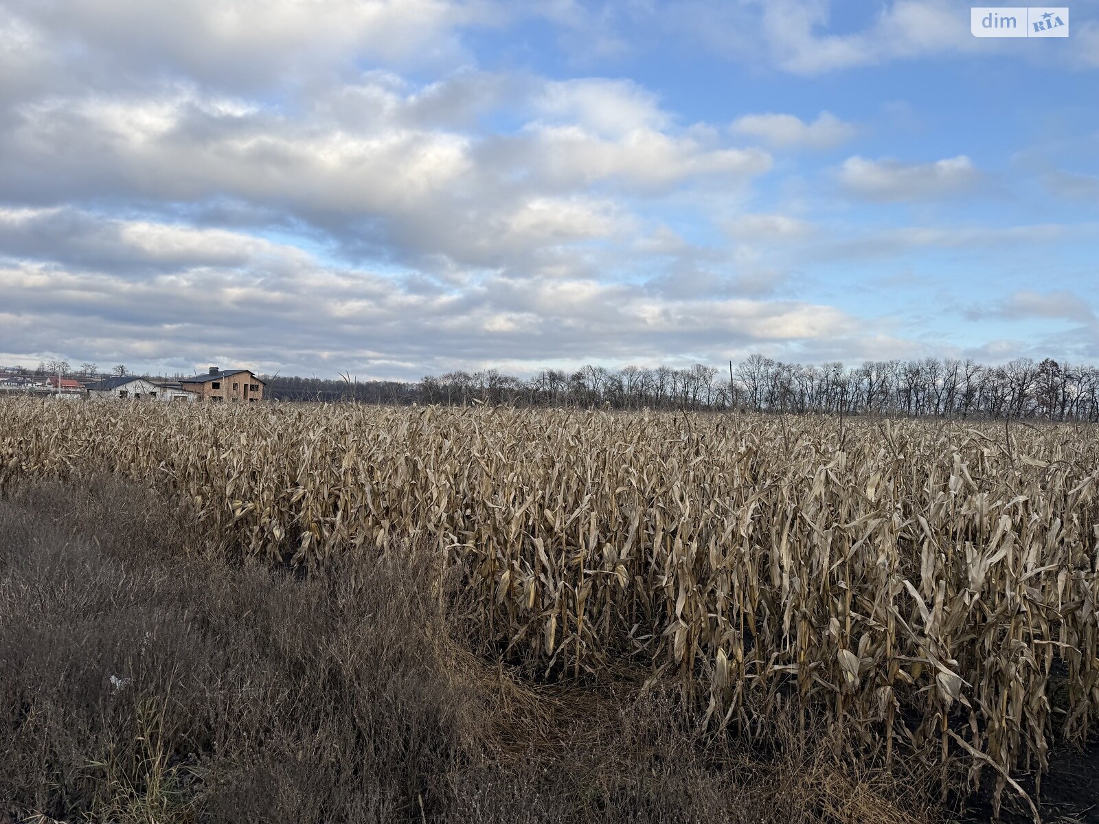 Земля сельскохозяйственного назначения в Виннице, район Тяжилов, площадь 140 соток фото 1