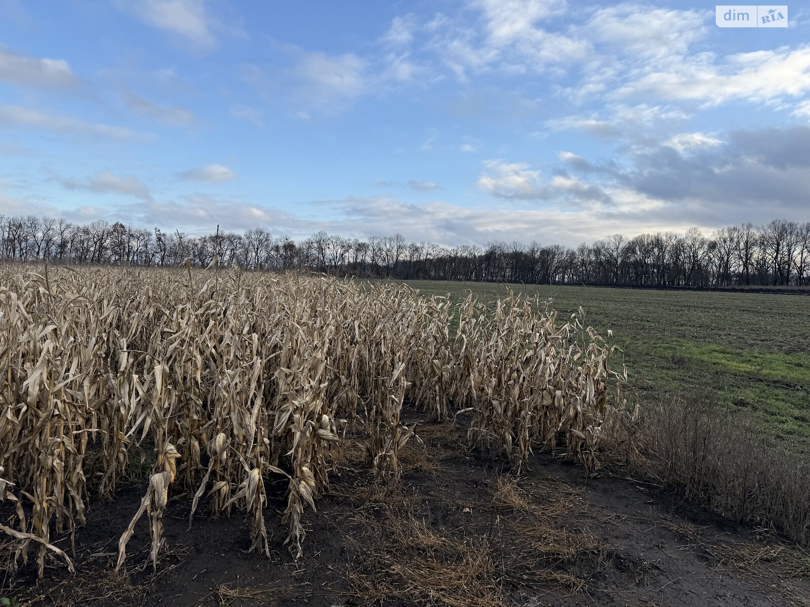 Земля сельскохозяйственного назначения в Виннице, район Тяжилов, площадь 140 соток фото 1