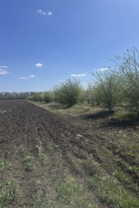 Земля сельскохозяйственного назначения в Виннице, район Тяжилов, площадь 70 соток фото 2